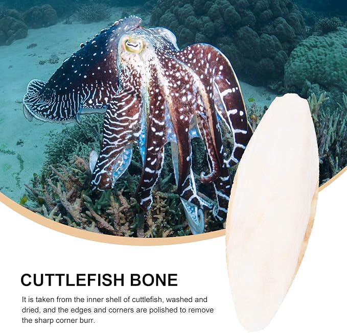 Baluue 12pcs Bird Cuttlebone Chew Toy Cuttlefish Bones Parrot Cage Toys Bird Bite Toy for Aquarium Reptile Tortoise Turtle Cockatiel 10cm