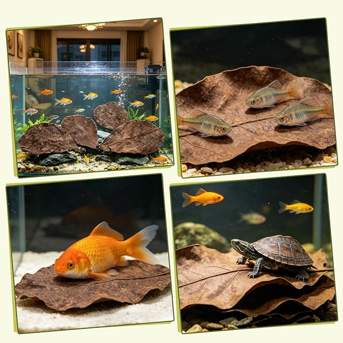 LeonBach 50 Pcs Indian Almond Leaves for Aquariums, 5-8 Inches | 125g Large Catappa Leaves for Betta Fish, Creates Native Environment, Fish Shrimp Tank Decorations, Water Conditioner