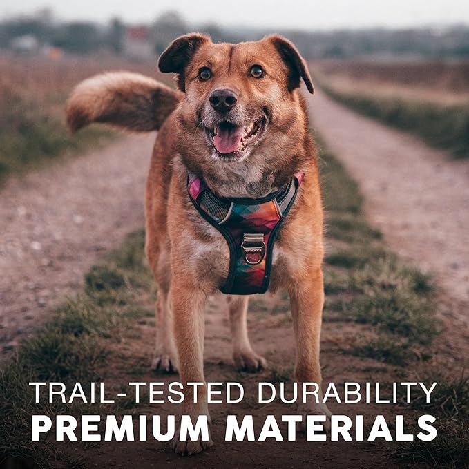 Embark Adventure Dog Harness for Large Dogs – No Pull, Reflective Trim, Military Grade Nylon, Front Clip, Gel-Lined Handle, Soft Padded