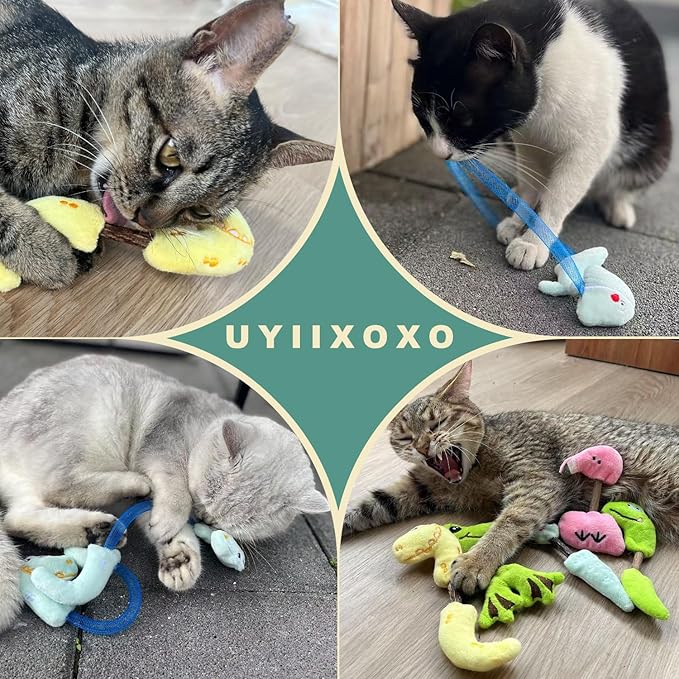 Interactive Cat Toys Set, Silvervine Chew Sticks and Cat Spring Toy, Indoor Catnip Toys for Exercise and Dental Care, for Adult Cats and Kittens (10 Packs)
