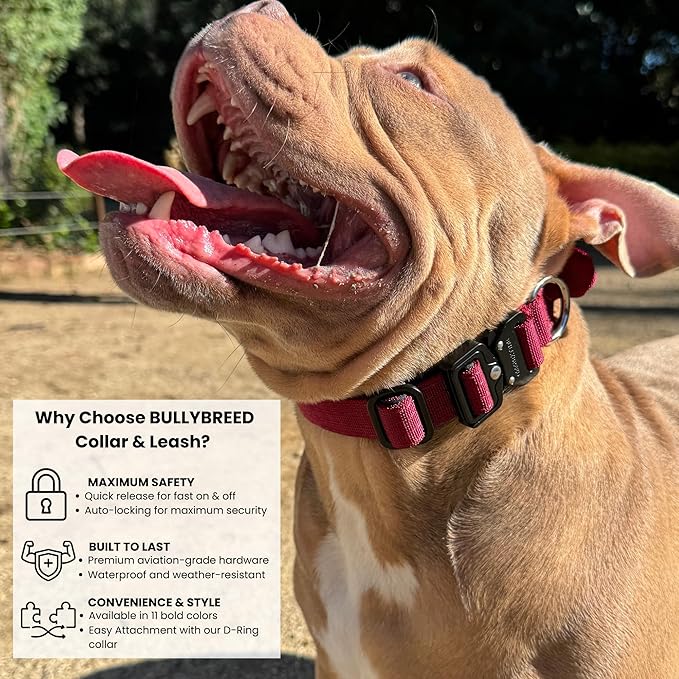 Tactical Dog Collar for Puppy, Heavy Duty Puppy Collar, Dog Collar for Small Dogs, Waterproof Dog Collar, Dog Training Collar, Quick-Release Buckle, Adjustable Sizes – BULLYBREED (Maroon Red, Small)