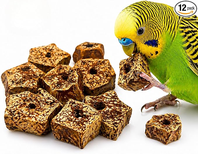 Bonka Bird Toys 3893 Natural Mahogany Sliced Pods Chew Toys, Pack of 12, Durable Bird-Safe Foot Toys, Pre-Drilled for Parrots, Cockatiels, and Small to Medium-Sized Birds, Cage Accessories
