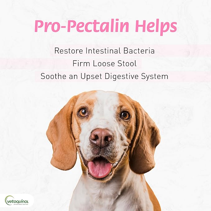Vetoquinol Pro-Pectalin Oral Paste for Dogs & Cats – Chicken Flavor – Helps Reduce Occasional Loose Stool & Diarrhea, Balance Gut pH, Support Normal Digestion