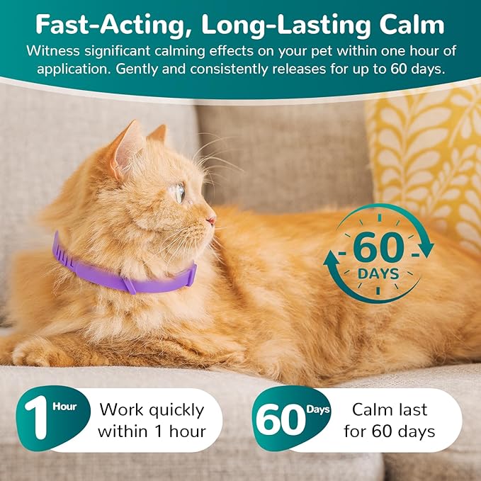 Calming Collar for Cats, Cat Calming Collars for Cat Anxiety Relief, 60 Days Adjustable Waterproof TPE, Pheromone Collar Helps Calm During Loud Noises and Separation (Rainbow, 1 Pack)