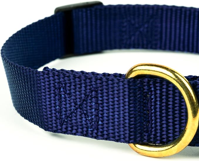 Country Brook Petz - Deluxe Nylon Dog Collar and Leash - 10+ Cool Colors (1 Inch, Extra Large, Navy Blue)