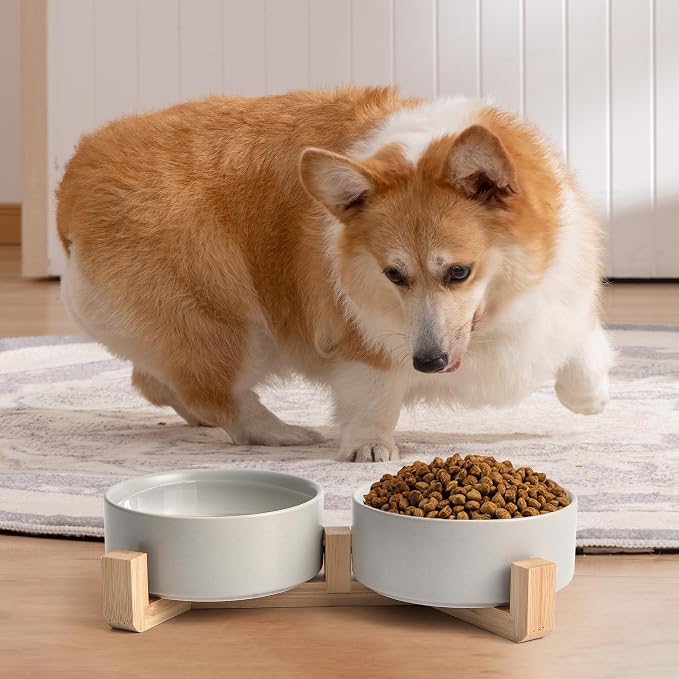 Mowtanco Grey Ceramic Dog & Cat Bowl Set – 13.5 OZ with Wooden Stand, Non-Slip, Elevated Design for Small Dogs & Cats – 2 Bowls (Food & Water, Ceramic Pet Bowls, Modern Dog Bowls)