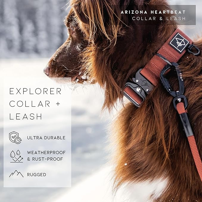 Made to ROAM Premium Dog Collar - Adjustable Heavy Duty Nylon Collar with Quick-Release Metal Buckle (Virginia Mountains, Classic Size 4)