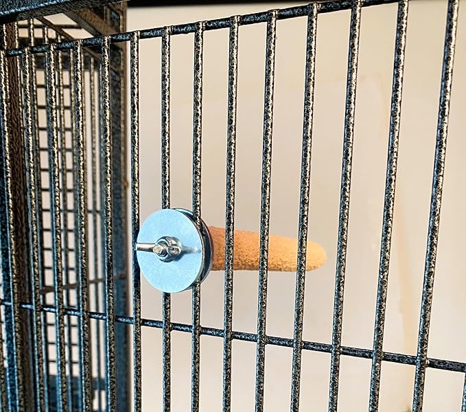 Polly's Pastels Nail Trimming & Beak Conditioning Safety Perch for Cockatiels, Cockatoos, Macaws, Parakeets, Budgies, Parrots and All Other Birds (Coral, Baby Medium-3/4 Dia. x 5" Long)