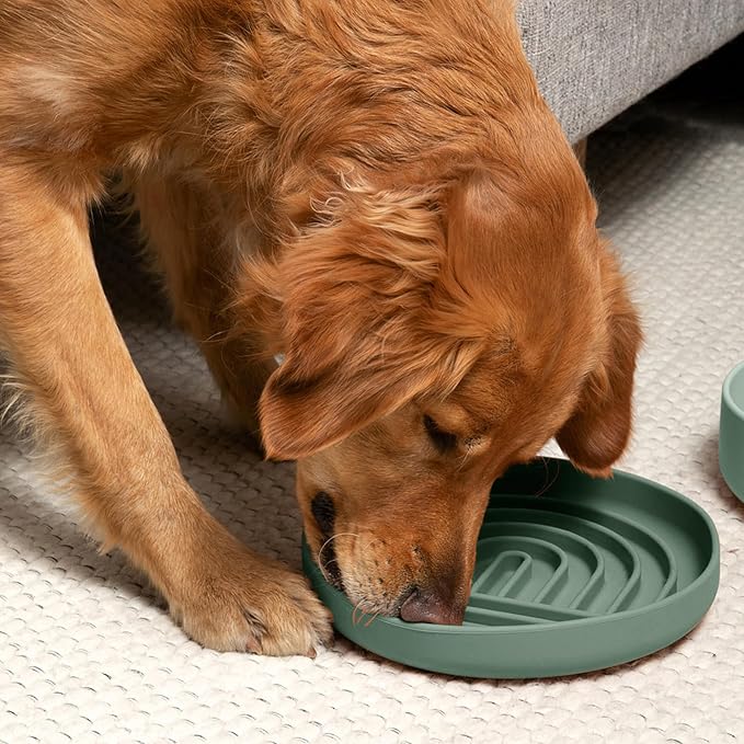 Should We Go? Slow Feeder for Dogs & Puppies, The Slowdown Bowl Silicone Slow Eating, Modern Lick Mat Design, Reduces Gulping, Fits 2.5 Cups, 9.5” Across x 1.5” Tall, Mealtime Challenge, Large-Spruce