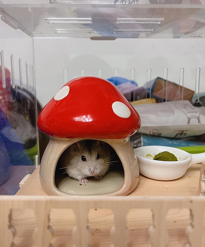YZHZOM Ceramic Hamster Hideout - Small Animal Houses & Habitats for Mice, Gerbils, Lemmings or Other Small Pets - Accessories