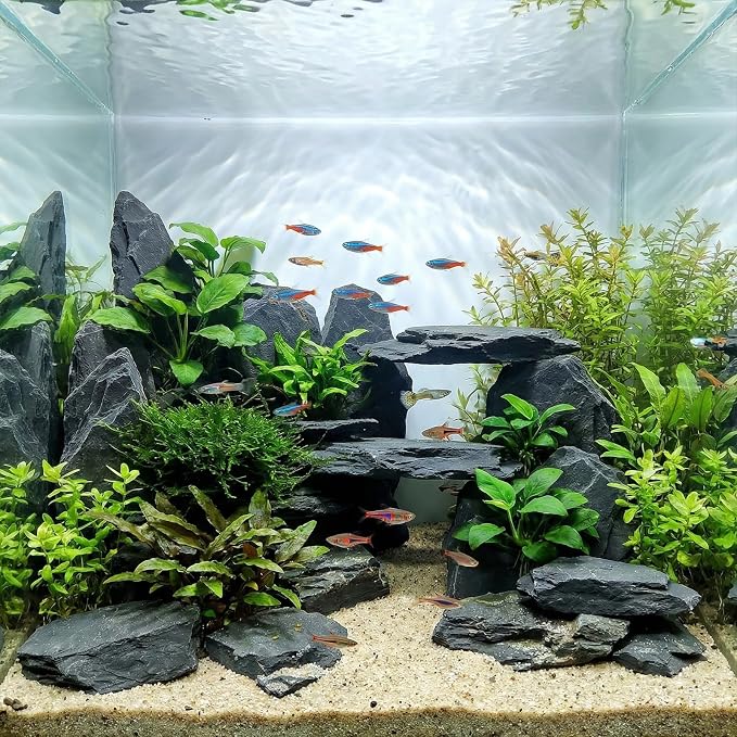 Slate Rock for Aquarium, 5-7 Inch Polished Natural Stone Rocks,10 lbs | Fish Tank Decor, Aquascaping Rocks, Safe for Aquariums, Terrariums