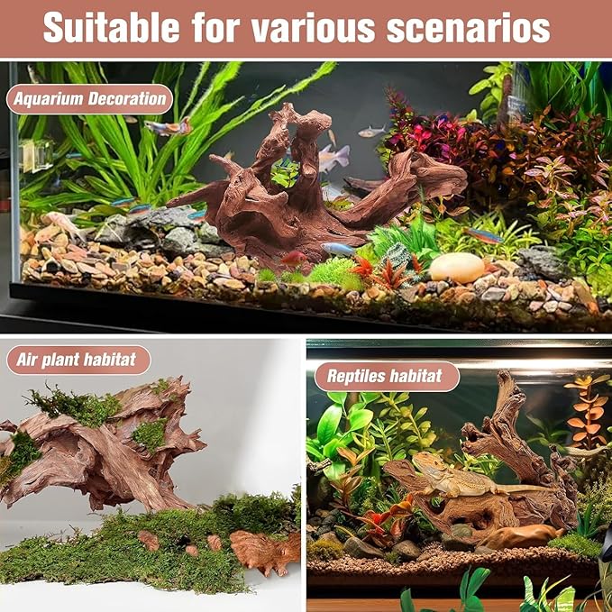 5-Piece 4-8 Inches Natural Aquarium Driftwood Decorations - Aquascape Decor for Fish Tanks, Betta Hideouts, Reptile Enclosures & Plant Attachment