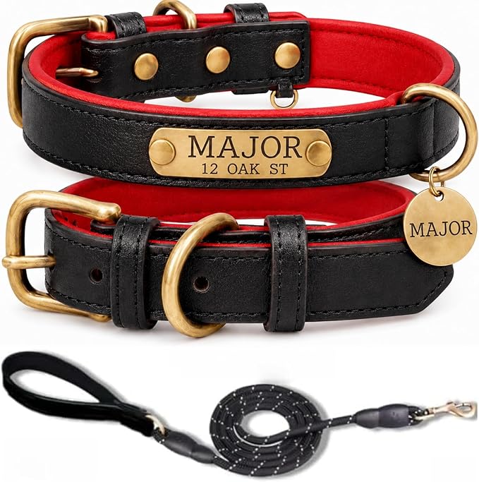 Leather Dog Collar Personalised and Leash Set, Personalized with Soft Padded Design Heavy Duty Featuring Custom Engraved Name Plate for Small Medium and Large Dogs