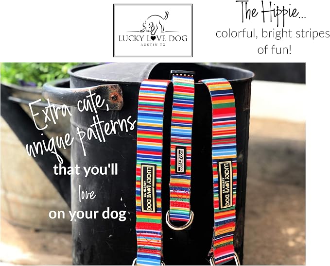 Lucky Love Dog Martingale Dog Collar - Adjustable, No-Slip, Durable, & Soft Webbing Collar for Male and Female Dogs Ideal for Training & Walking - Hippie, Small