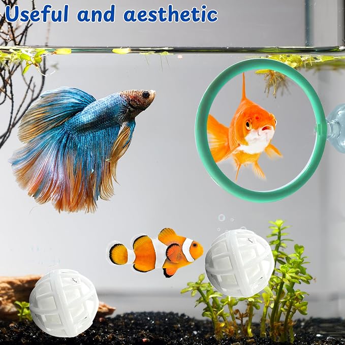 Betta Fish Exercise Ring and Filter Balls Set, Fish Feeder Ring and Nitrifying Ball, Betta Fish Toys for Small Tank, Betta Ring, Beta Fish Training Loop, Aquarium Toys for Pets Turtle (Green, M-70mm)