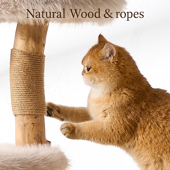 HITTITE Natural Wood Cat Tree Tower with Scratching Post, 53.5 Inches Tall Modern Cat Tower with Cozy Bed and Condo, Luxury Real Branch Cat Tree for Indoor Cats Large Adult, Khaki.