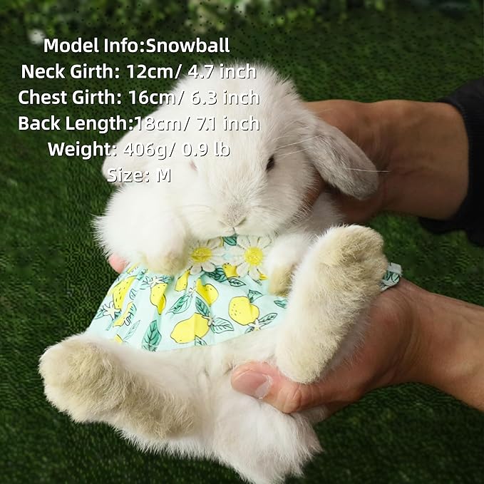 SMOLKITH Rabbit Clothes - Bunny Adjustable Summer Lemon Print Dress with Leash, Small Animal Apparel for Walking - Fits Meerkats, Chinchillas, Guinea Pigs, Marmots and More
