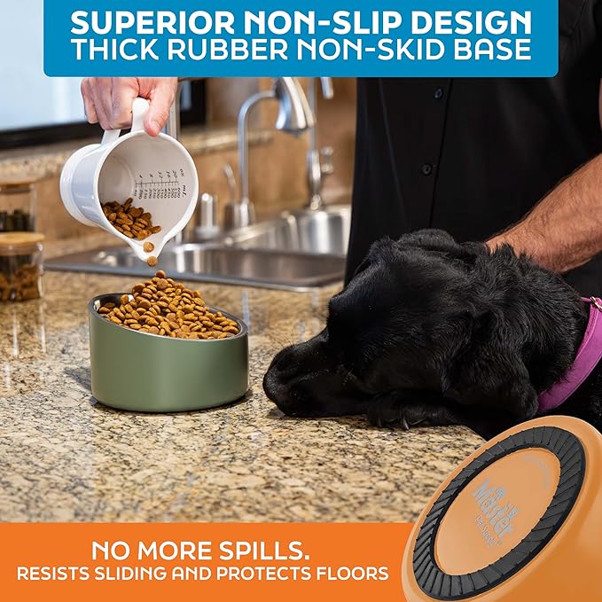 Master Pet Supply Stainless Steel Slanted Dog Cat Food Bowl - 24 oz Heavy Duty - Mango Tango, Double Wall Insulated, Non-Slip Elevated Bowl for French Bulldogs Pugs Cats, Anti Rust Dishwasher Safe