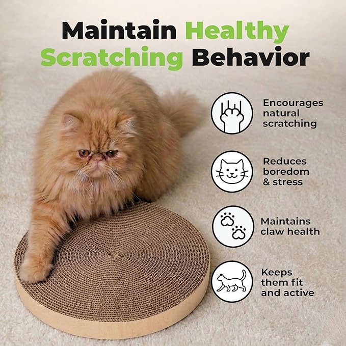Best Pet Supplies Catify Cat Scratcher, Fun Interactive Scratchers, Posts, Poles, Claw Safe, Furniture Saver Indoor Play Support Natural Cat Behaviors Heavy Duty - 3 Pack Round, 10 x 10