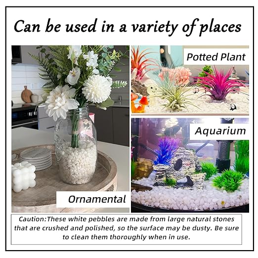 CJGQ 1/4" Small White Rocks for Plants,Potting,Succulents Aquarium Fish Tank Garden Vases Decorative Pebbles Gravel Rocks Stones 45lb
