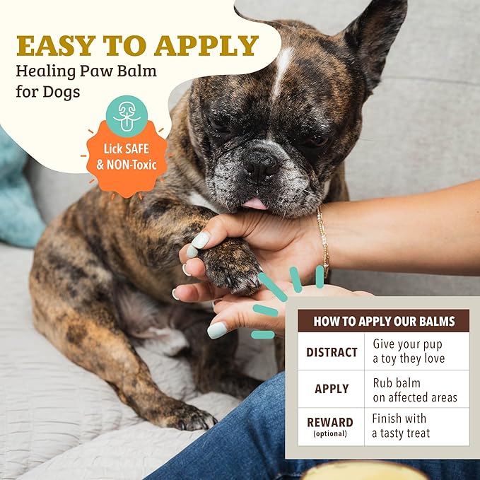 Natural Dog Company Paw Soother Balm & Wax - Dog Paw Balm & Moisturizer for Dry, Cracked Paw Pads, Helps Moisturize & Condition Worn Paws, Coconut Oil & Calendula, Daily Paws Care, 4 oz Tin