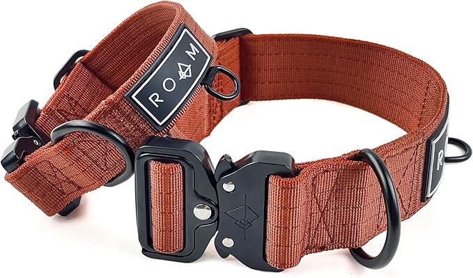 Made to ROAM Premium Dog Collar - Adjustable Heavy Duty Nylon Collar with Quick-Release Metal Buckle (Arizona Sunkissed, Size 3.5)