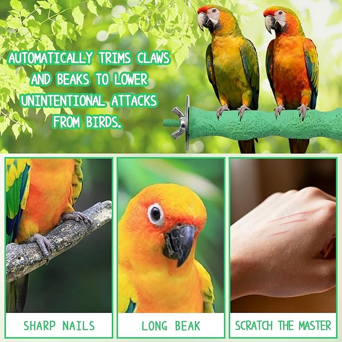 2-Piece Bird Beak Grinding Stone Perch Set, Anti-Slip Parrot Nail Trimming Stick with Resin Beak Grinder, Washable Claw Trimmer Care Stand for Budgie, Cockatiel, Parakeet Cage Accessories