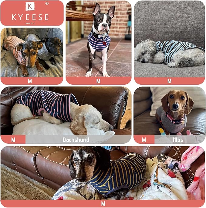 KYEESE 2Pack Dog Sweater Soft Dogs Clothes Warm Pets Clothes Stretchy Pet Sweatshirt Dog Sweaters for Small Dogs Girl Turtleneck Pet Coats Pullover Small Pets Sweaters