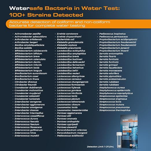 Watersafe® Bacteria Water Test Kit – USA-Made – Results as Fast as 6 Hours – Detects Coliform (Inc. E. coli) & Non-Coliform Bacteria in Drinking, Well & Tap Water – Lab-Quality Testing – 4 Pack