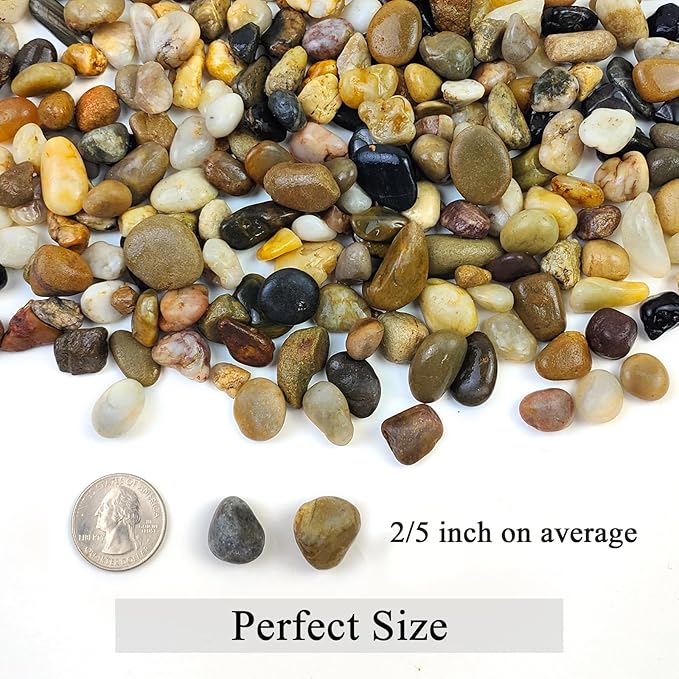 FANTIAN 10 lbs Pea Gravel for Landscaping, 2/5 Inch Size Mixed Color River Rocks for Aquarium, Succulent, Vase Fillers, Cactus Bonsai, Plant Soil Cover and Outdoor Garden Rocks.