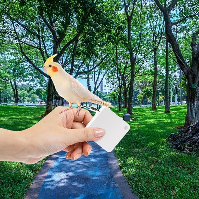 Bird Flying Harness - Parrot Rope, Comfortable Foot Loop, Strong Elastic Lead | Secure Outdoor Leashes for Conure Cockatoo Budgies Parakeet Macaw Parrotlet Daily Flying Training Walking Adventure