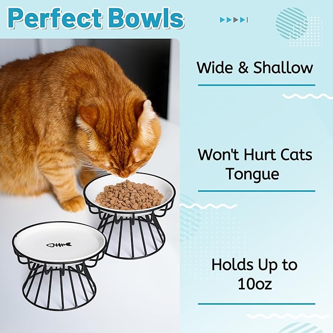 Cat Bowls, Elevated Cat Bowl, Raised Ceramic Dish with Metal Stand, Pet Water or Food Feeding Station for Indoor Cats, Kitten, Puppies and Small Dogs, Dishwasher Safe
