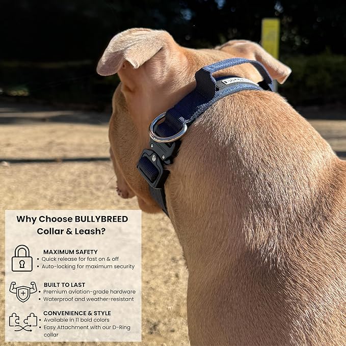 Tactical Dog Collar for Puppy, Heavy Duty Puppy Collar, Dog Collar for Small Dogs, Waterproof Dog Collar, Dog Training Collar, Quick-Release Buckle, Adjustable Sizes – BULLYBREED (Navy Blue, Small)