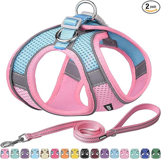 AIITLE Easy Walk Dog Harness and Leash Set - Pet Supply No Pull, Step in Adjustable Dog Harness with Padded Vest, Dog Harness No Choke Over, Easy to Put on Medium Dogs Pink L