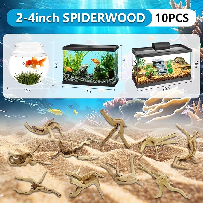 10 Pcs Large Natural Spider Wood for Aquarium 4-6", Aquarium Drift Wood, Assorted Size Spider Wood, Twisted Branches Trunk for Fish Tank, Aquascaping, Reptile Climbing Branch, Terrarium Decor