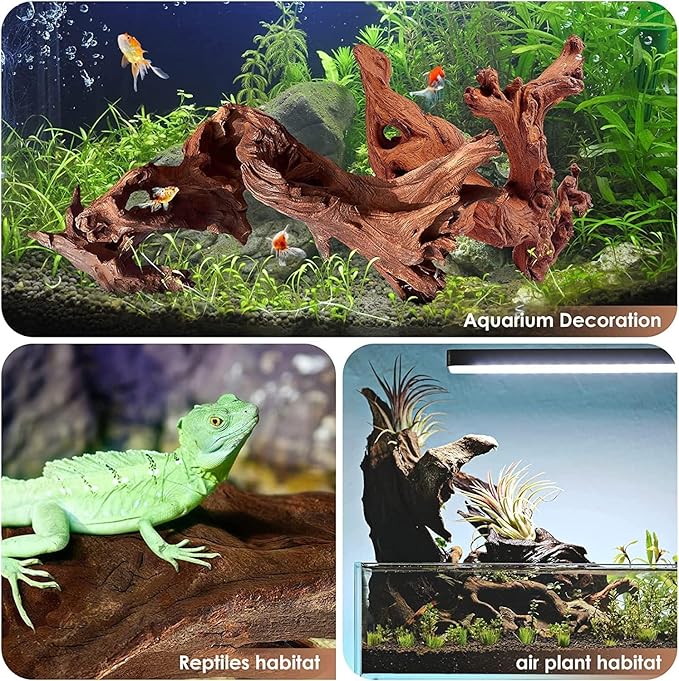 Azil Natural Driftwood 9''-12'' (2 Pieces) – Perfect Aquarium Decoration for Fish Tanks, Freshwater Aquariums, Terrariums, Aquascaping, Hardscaping, Aquatic Plants