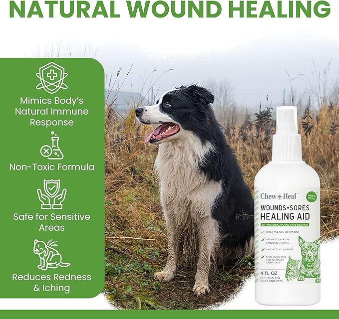 Chew + Heal Labs Hypochlorous Acid Spray for Dogs – Dog Wound Spray for Cuts, Burns, Sores, Abrasions, and More – Non Toxic and Chemical Free HOCI Wound Care – Made in The USA, 4 oz