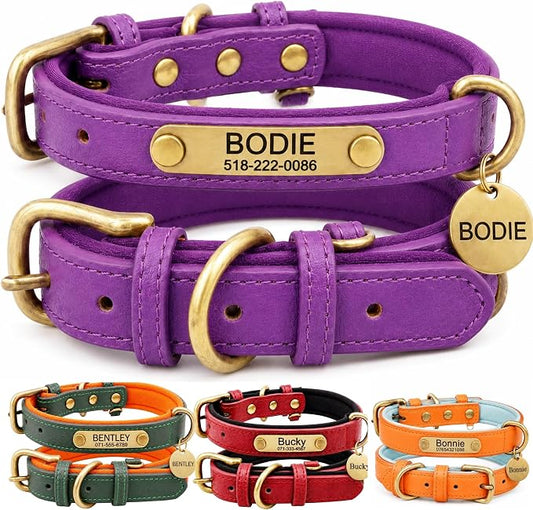 Leather Dog Collar Personalised and Leash Set, Personalized with Soft Padded Design Heavy Duty Featuring Custom Engraved Name Plate for Small Medium and Large Dogs