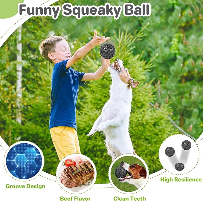 DISSKNIC Indestructible Squeaky Dog Balls Puppy Toys, Interactive Dog Toys for Small Dogs, Puppy Chew Toys for Teething and Relax, Dogs Chew Toy Balls Small Toys for Small Breed