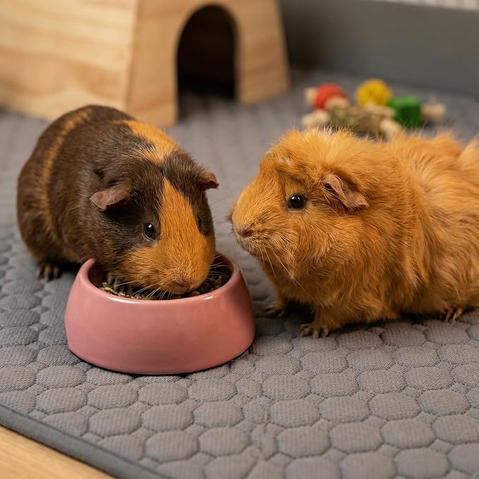 Guinea Pig Bedding, 49x24in 2 Pack Washable Guinea Pig Cage Liners, Waterproof Reusable & Anti Slip, Super Absorbent Guinea Pig Pee Pad for Midwest Cage, Small Animal, Rabbit, Bunny, Green