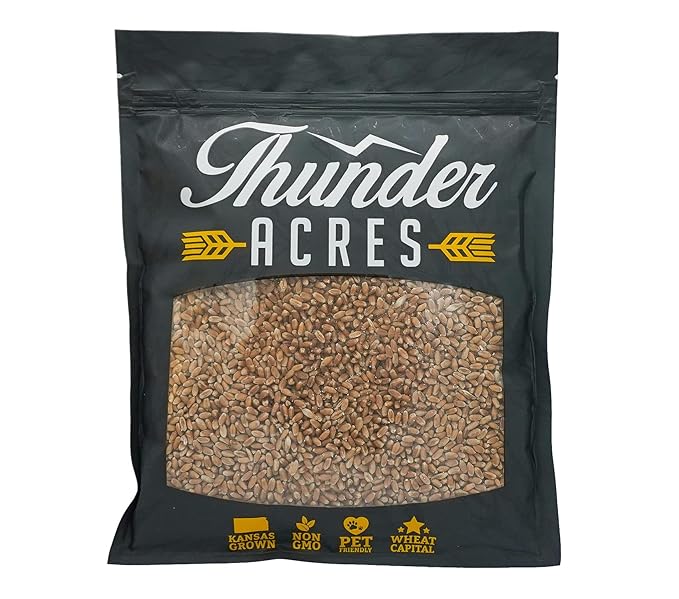 Non-GMO, Thunder Acres Premium Wheat Seed, Cat Grass Seed, Wheatgrass, Hard Red Winter Wheat (1 lbs.)