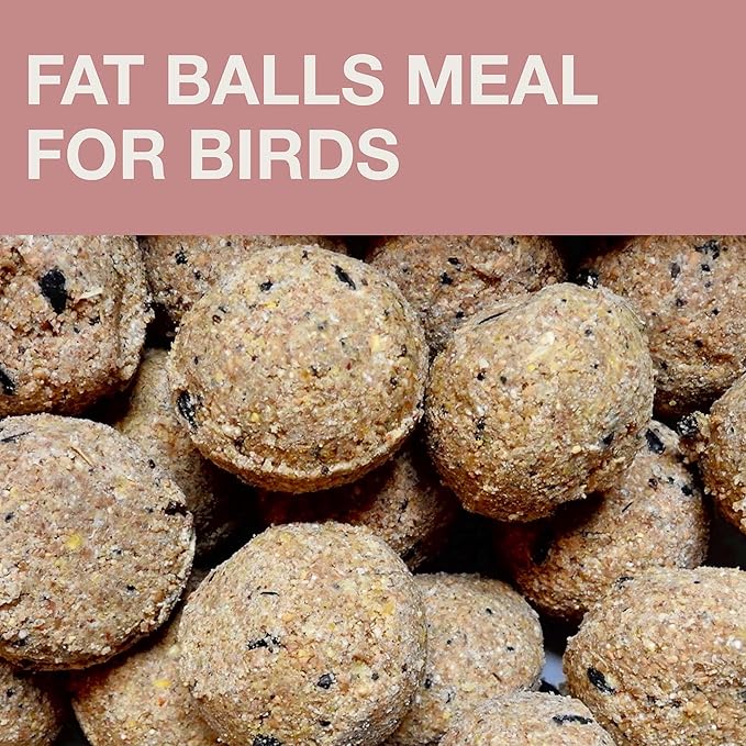 SWISSINNO Bird Feeders - No Mess Fat Ball/Suet Feeder for Outdoors Hanging - Smart Birds Lucerne Spill Proof Wild Cardinal Bird Feeder with Integrated Seed Catcher Tray - Dusty Rose