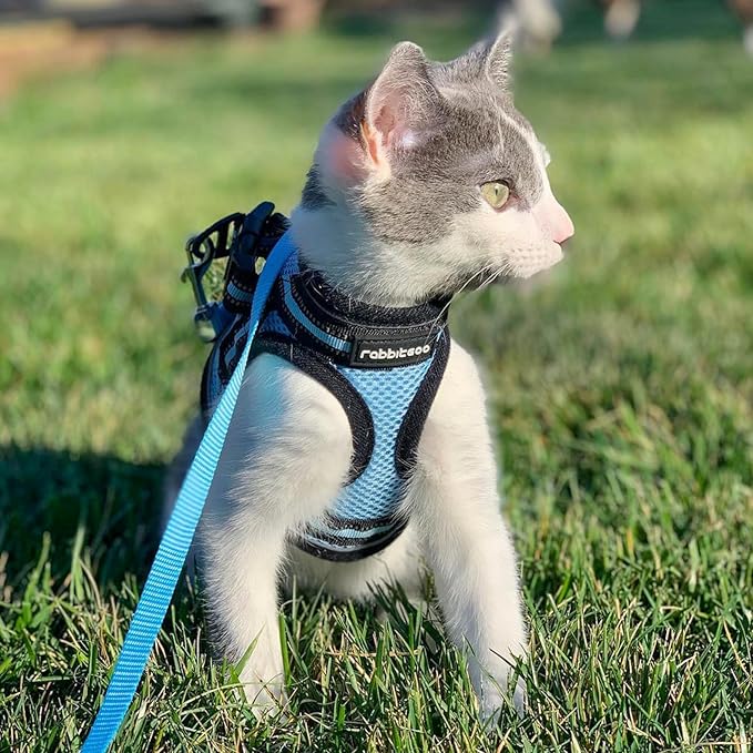 rabbitgoo Cat Harness and Leash Set for Walking Escape Proof, Adjustable Soft Kittens Vest with Reflective Strip for Cats, Comfortable Outdoor Vest, Light Blue, M
