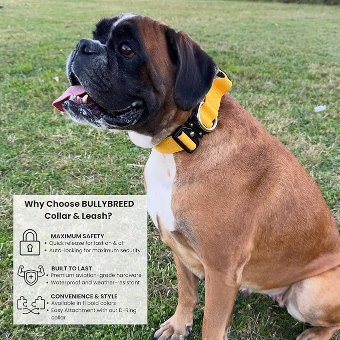 Heavy Duty Dog Collar, Tactical Dog Collar, Dog Collars for Medium Dogs, Waterproof Dog Collar, Dog Training Collar, Quick-Release Metal Buckle, Adjustable Sizes – BULLYBREED (Yellow, Medium)