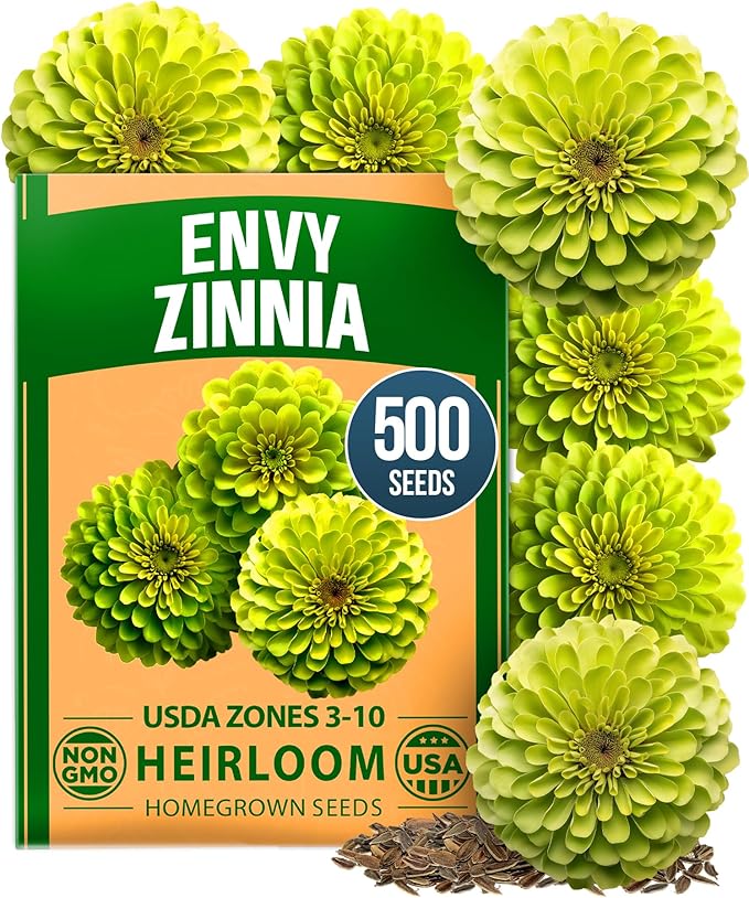 HOME GROWN Envy Zinnia Seeds (1g) – 500 Rare Lime Green Annual Zinnia Flower Seeds for Planting, Fast-Growing Heat-Loving Variety, Premium Herb Seeds Garden Companion for 2026 Blooms (Zinnia elegans)