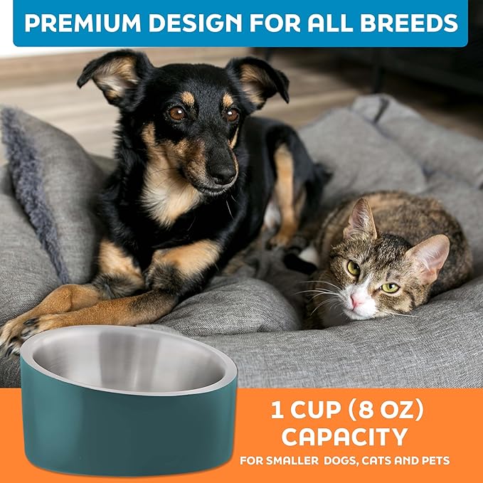 Master Pet Supply Stainless Steel Slanted Dog Cat Food Bowl - 8 oz Heavy Duty - Emerald Sea, Double Wall Insulated, Non-Slip Elevated Bowl for French Bulldogs Pugs Cats, Anti Rust Dishwasher Safe