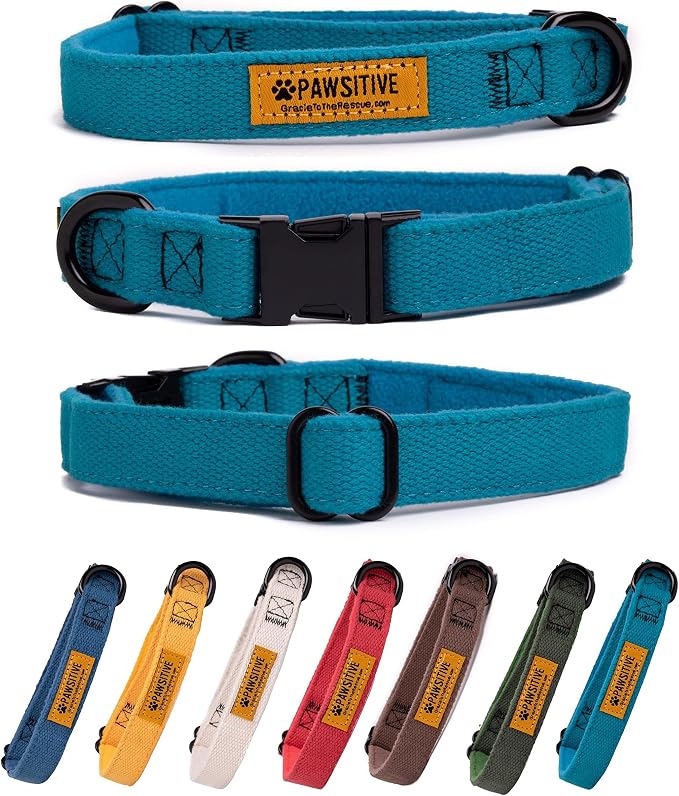 Pawsitive Teal Dog Collar Hemp Dog Collar - Super Soft Hypoallergenic Lining. Great for Small, Medium and Large Dogs; Medium Emerald Green