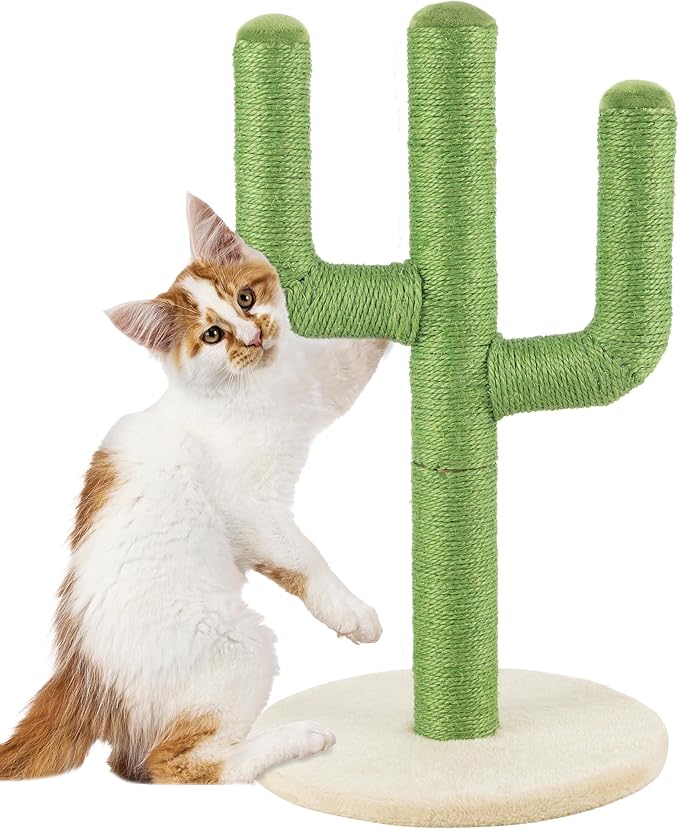 24” Tall Cat Scratching Post - Vertical Cactus Scratch Post for Indoor Cats - 360 Degree Jute Rope-Covered Kitten Scratcher with 3 Branches and Sturdy Base by PETMAKER (Green)