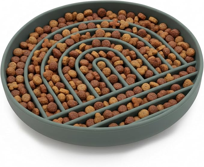 Should We Go? Slow Feeder for Dogs & Puppies, The Slowdown Bowl Silicone Slow Eating, Modern Lick Mat Design, Reduces Gulping, Fits 2.5 Cups, 9.5” Across x 1.5” Tall, Mealtime Challenge, Large-Spruce