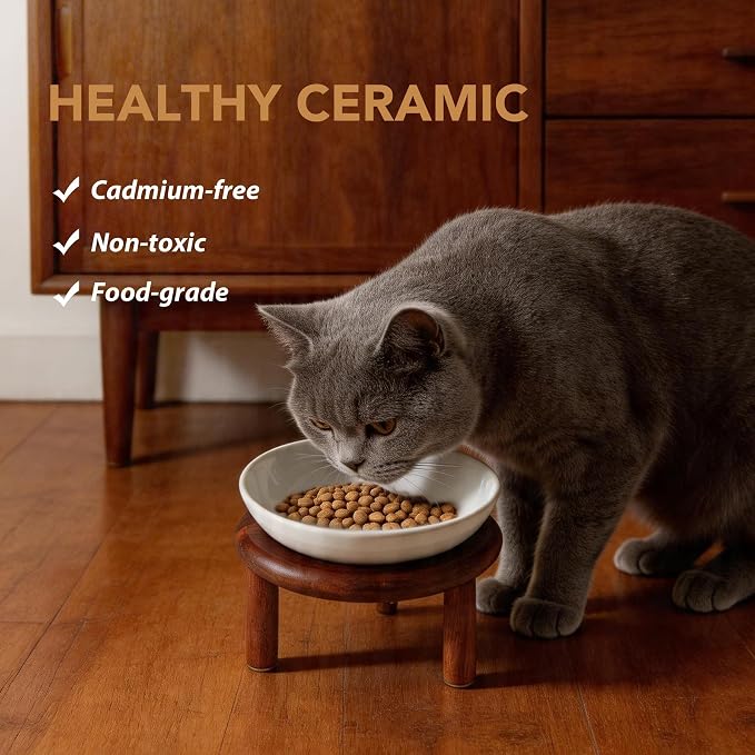 Havniva Elevated Cat Bowls Raised Ceramic Cat Bowl, 5.7” Wide Opening Cat Food Bowl Whisker Friendly Cat Dish Anti-Slip with Wood Stand, Shallow Pet Food & Water Bowl for Indoor Cats